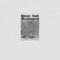 Buy Ghost Funk Orchestra - A Song For Paul Mp3 Download