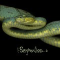 Buy Kiss Nuka - Serpentine (EP) Mp3 Download