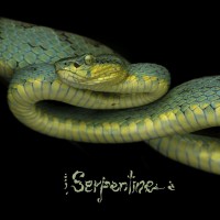 Purchase Kiss Nuka - Serpentine (EP)