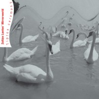 Purchase Zoltán Lantos' Mirrorworld - Tiptoe Ceremony