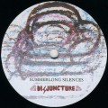 Buy A Sunny Day In Glasgow - Summerlong Silences (VLS) Mp3 Download