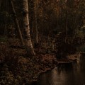 Buy Aran - Pimeyttä Vasten Mp3 Download