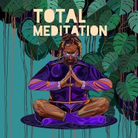 Purchase Lil Jon - Total Meditation (With Kabir Sehgal)