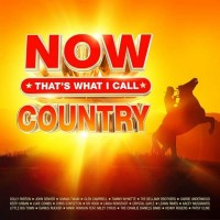 Purchase VA - Now That's What I Call Country CD2
