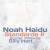 Buy Noah Haidu - Standards II Mp3 Download
