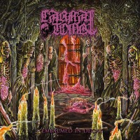 Purchase Carnal Tomb - Embalmed In Decay