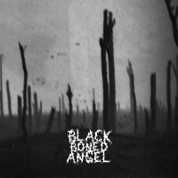 Purchase Black Boned Angel - Verdun