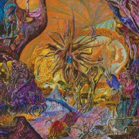 Purchase Slimelord - Chytridiomycosis Relinquished