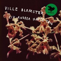 Purchase Liv Andrea Hauge Trio - Ville Blomster