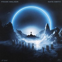 Purchase Frank Walker - Missing You (Feat. Nate Smith) (CDS)