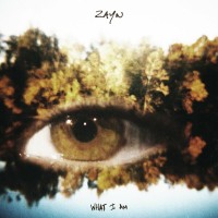 Purchase Zayn - What I Am (CDS)