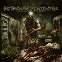 Purchase Guttural Disgorge - Enthralled By Mutilation