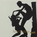 Buy Arto Lindsay - Salt Mp3 Download