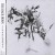 Buy The Back Horn - ヘッドフォンチルドレン Mp3 Download