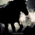 Buy The Back Horn - 暁のファンファーレ Mp3 Download