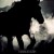 Buy The Back Horn - 暁のファンファーレ Mp3 Download