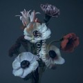 Buy Alain Chamfort - L'impermanence Mp3 Download