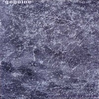 Purchase Genuine - Nu Ambient Grooves