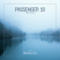 Purchase Passenger 10 - Melange (CDS)