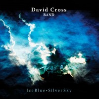 Purchase David Cross Band - Ice Blue, Silver Sky
