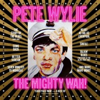 Purchase Pete Wylie & The Mighty Wah - Teach Yself Wah (A Best Of)