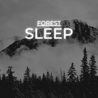 Purchase Science Of Sleeping - Forest Sleep