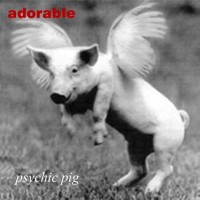 Purchase Adorable - Psychic Pig