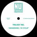 Buy Trilogy Inc. - Awakening / Hi Cycle (CDS) Mp3 Download