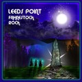 Buy Leeds Point - Fahnestock Rock Mp3 Download