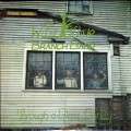 Buy Wild Olive Branch Band - Though A Glass Darkly (Vinyl) Mp3 Download