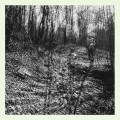 Buy Topographies - Interior Spring Mp3 Download