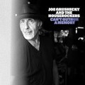 Buy Joe Grushecky & The Houserockers - Can't Outrun A Memory Mp3 Download
