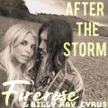 Buy Firerose & Billy Ray Cyrus - After The Storm (CDS) Mp3 Download