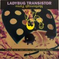 Buy The Ladybug Transistor - Marlborough Farms Mp3 Download