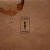 Buy Zayn - Alienated (CDS) Mp3 Download