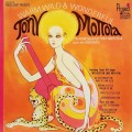 Buy Tony Mottola - Warm, Wild & Wonderful (Vinyl) Mp3 Download