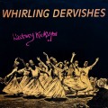 Buy Whirling Dervishes - History Kicks You (Vinyl) Mp3 Download