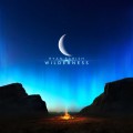 Buy Ryan Farish - Wilderness Mp3 Download