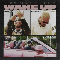 Purchase Skylar Blatt - Wake Up (Feat. Chris Brown) (CDS)