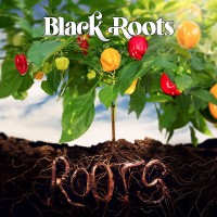 Purchase Black Roots - Roots