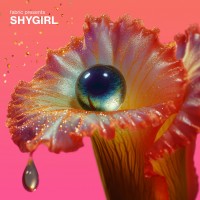 Purchase VA - Fabric Presents Shygirl (Mixed)