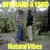 Buy Natural Vibes - Life Hard A Yard (Vinyl) Mp3 Download