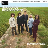 Purchase The Liquorice Experiment - How Many Lies