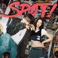 Purchase Zico - Spot! (Feat. Jennie) (CDS)