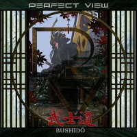 Purchase Perfect View - Bushido