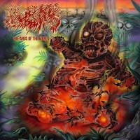 Purchase Mortal Wound - The Anus Of The World