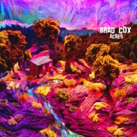 Purchase Brad Cox - Acres