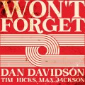 Buy Dan Davidson - Won't Forget (Feat. Tim Hicks & Max Jackson) (CDS) Mp3 Download