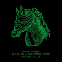 Purchase David Holmes - Blind On A Galloping Horse Remixes Vol. 2 (Feat. Raven Violet)