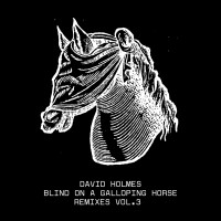 Purchase David Holmes - Blind On A Galloping Horse Remixes Vol. 3 (Feat. Raven Violet)